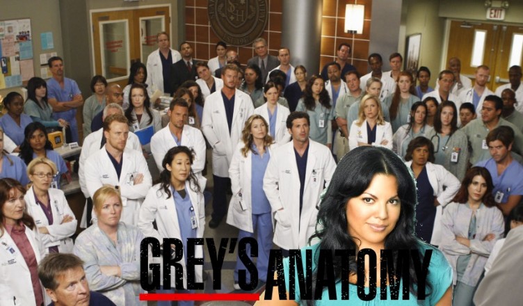 Anatomía De Grey Temporada 13 